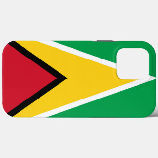 Guyanas flagga