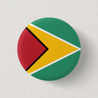Guyanas flagga knapp