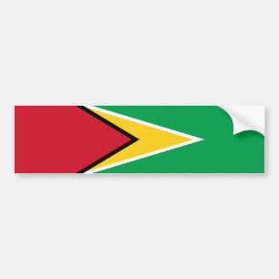 Guyanask flagga bildekal