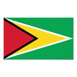 Guyanask flagga fototryck