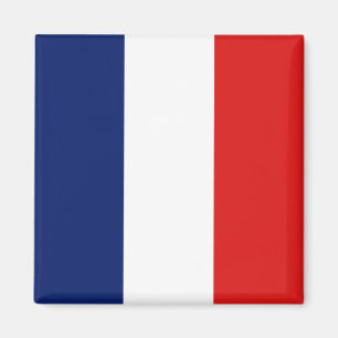 Guyane Flagga Magnet