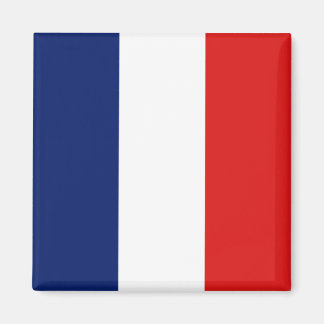 Guyane Flagga Magnet