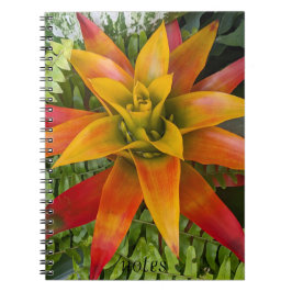 Guzmania Bromeliad Plant Floral Anteckningsbok