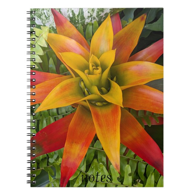 Guzmania Bromeliad Plant Floral Anteckningsbok (Framsidan)