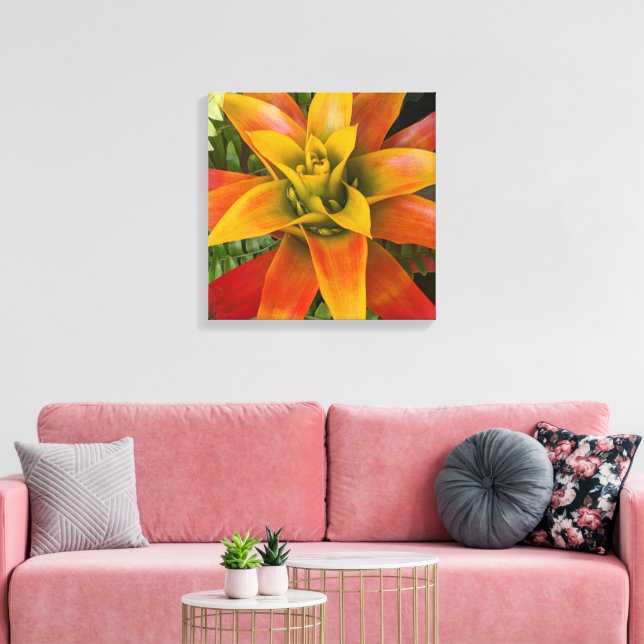 Guzmania Bromeliad Plant Floral Canvastryck (Insitu (Vardagsrum))