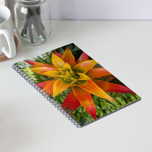 Guzmania Bromeliad Växt Blommig Anteckningsbok (In Situ)