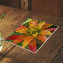 Guzmania Bromeliad Växt Blommig Kakelplatta