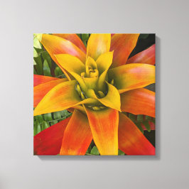Guzmania Bromeliad Växt Floral Canvastryck