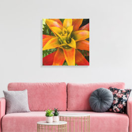 Guzmania Bromeliad Växt Floral Canvastryck