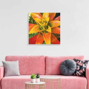 Guzmania Bromeliad Växt Floral Canvastryck