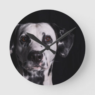 GWDC Dalmatian Photo Tävling Rund Klocka
