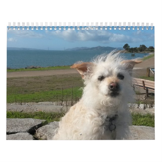 Gwendolyn kalender 2017 (Omslag)