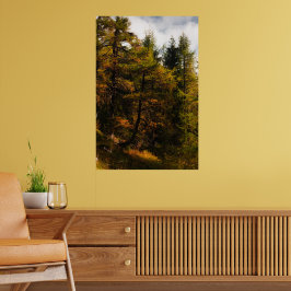 Gyllene europeisk lärk i höstfärger poster