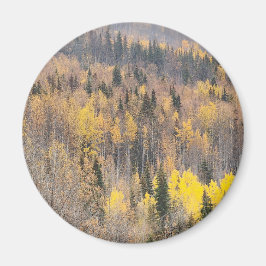 Gyllene höstskogslandskap magnet