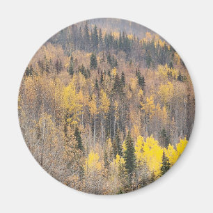 Gyllene höstskogslandskap magnet