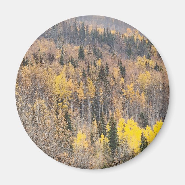 Gyllene höstskogslandskap magnet (Framsidan)
