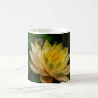 Gyllene kalk kaffemugg