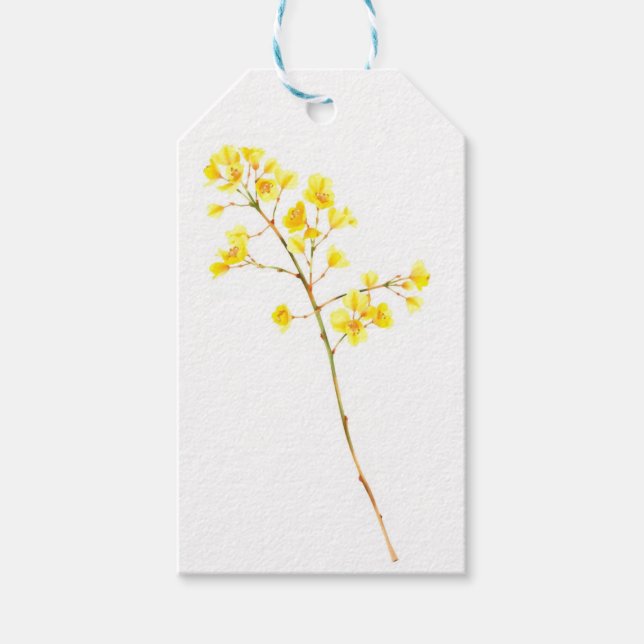 Gyllene Mimosa Akvarell Presentkort Presentetikett (Framsidan)