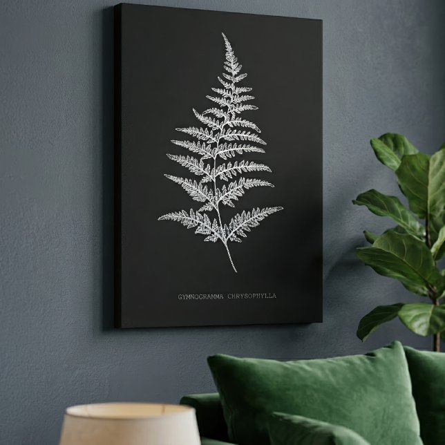 Gyllene ormbandsfjäder, Gymnogramma Chrysophylla Canvastryck (Golden Fern Frond, Gymnogramma Chrysophylla. Canvas Print)