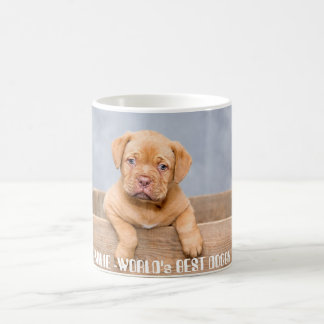 Gyllene Pitbull-valp | Personligt namn & foto Kaffemugg