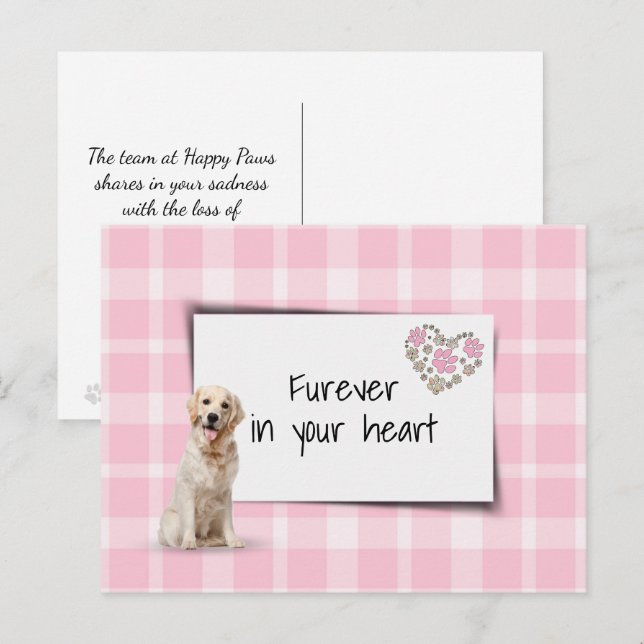 Gyllene Retriever Husdjur Sympati Förlust Vykort (Fram/baksida)