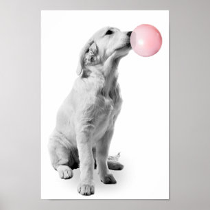 Gyllene Retriever Valp Bubbla Barnkammare Poster