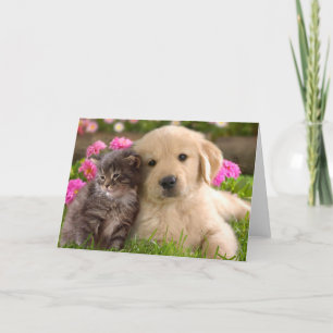 Gyllene Retriever Valp Hund & Kittens Kärlek Kort