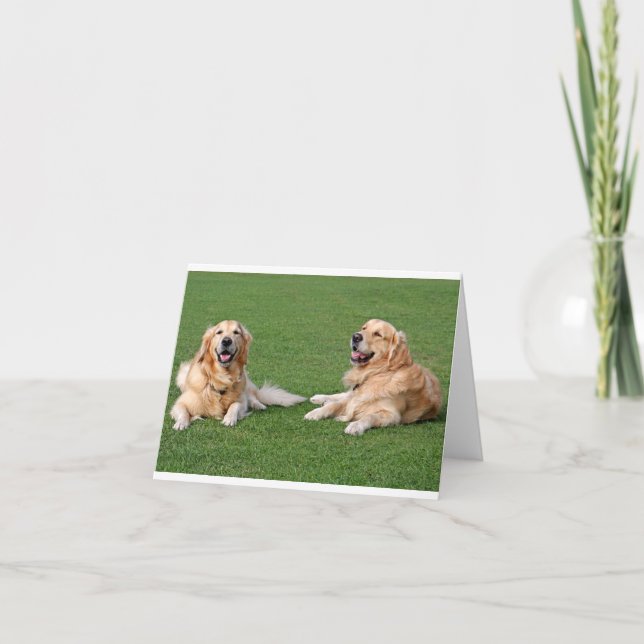 Gyllene Retriever Valp Hundfilt Kort (Framsida)