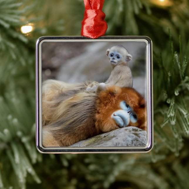 Gyllene stumpnäsa apa pappa med bebis julgransprydnad metall (Träd)