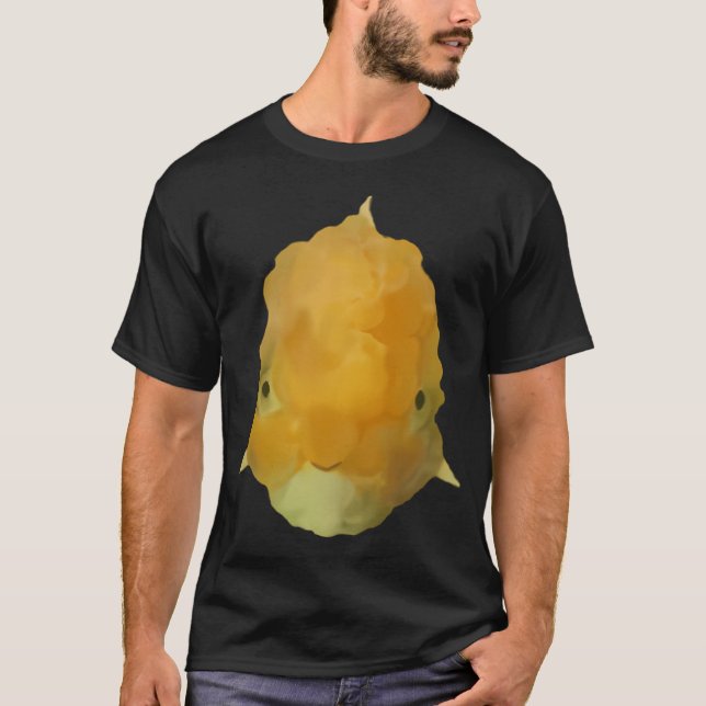 Gyllene T Shirt (Framsida)
