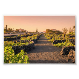 Gyllene timmen över La Geria vingårdar Lanzarote Fototryck