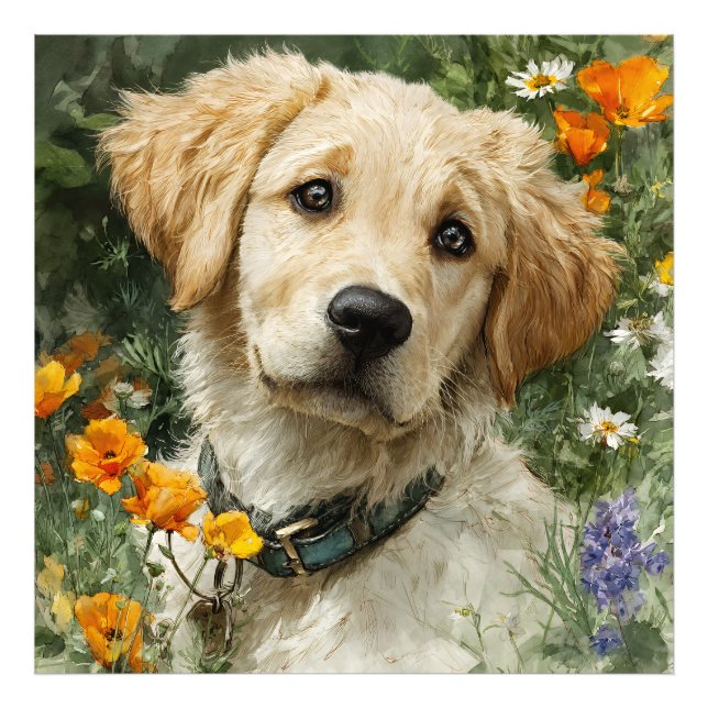 Gyllene Valp Porträtt Fototryck (Framsidan)