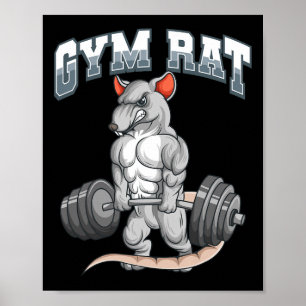 Gym Råtta Fitness Bodybuilding Poster