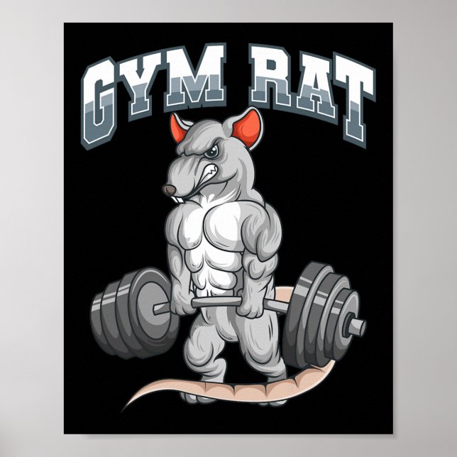 Gym Råtta Fitness Bodybuilding Poster (Framsidan)