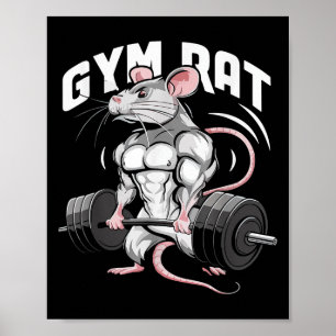 Gym Råtta Funny Bodybuilding Fitness Workout Gym W Poster