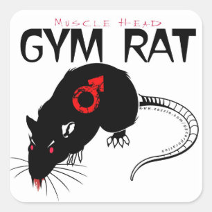 Gym Råtta Fyrkantigt Klistermärke