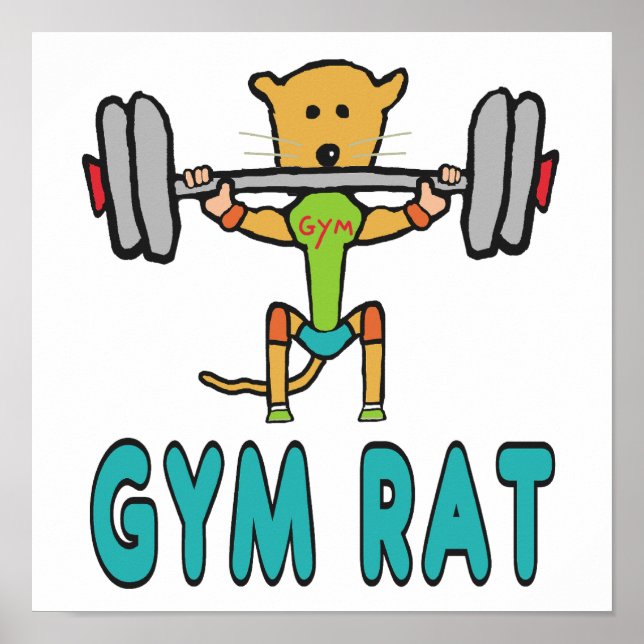 Gym Råtta Poster (Framsidan)