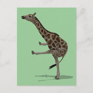 Gymnast Giraffe Vykort