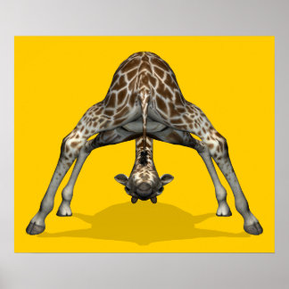 Gymnastic Giraffe Poster