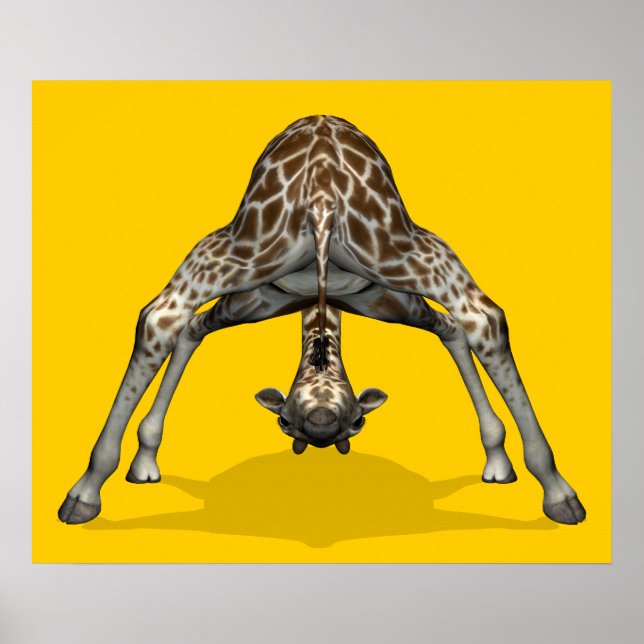 Gymnastic Giraffe Poster (Framsidan)
