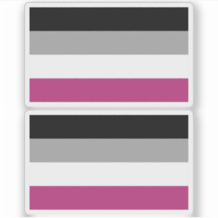 Gynephilia Pride Flagga Klistermärken