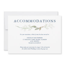 Gypsophila Wandan Bröllop-hölje