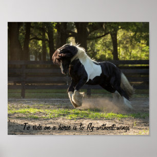 Gypsy Guld Gypsy Vanner tar flyget Poster
