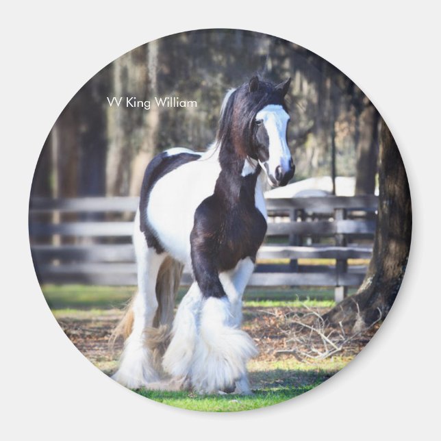 Gypsy Guld Kung William magnet (Framsidan)