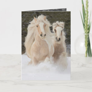 Gypsy Mare och föl-hälsningskort för Springa Kort