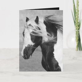 Gypsy Springa Horse Greeting Card Kort