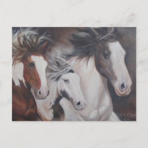 Gypsy Springa Vykort