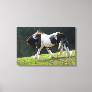 Gypsy Vanner Canvastryck