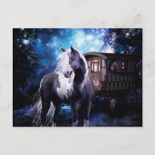 Gypsy Vanner Dreams Vykort