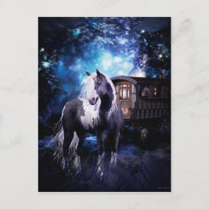 Gypsy Vanner Dreams Vykort